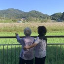 아중스크린골프 이미지