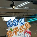 엔젤트래블 | 인디고 트래블 비에이 투어 후기, 준페이, 다루마 4.4