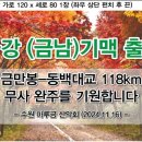 고려장골 Daum카페