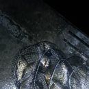 죽산 낚시터 이미지