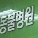 란동물병원 연합뉴스