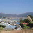 삼해관광횟집 이미지