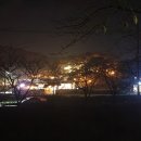 나이스공인중개사사무소 이미지