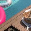 판포2060 이미지