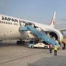 잘(JAL) | 김네다 KE5711 대한항공 공동운항, 김포 하네다 JAL JL90 후기