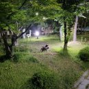 도예촌막국수