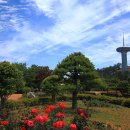 완도타워 이미지