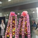 야옹야옹 이미지