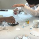 동산중 | [유리 전사지 단체수업] 동산중, 명현중