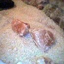 운현정 사우나 이미지