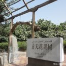 호탄농장 이미지