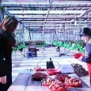 해천농장 이미지