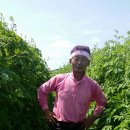 행복한농부 Daum카페