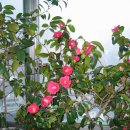 민이네집 이미지