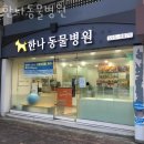 한나동물병원 이미지
