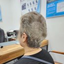 뉴톤보청기(성남지사) 이미지