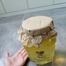 365푸드앤팜