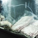 돼지레스토랑 이미지