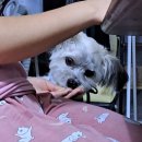 함창안경 이미지