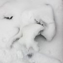 우장산근린공원 이미지