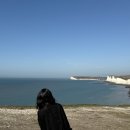 쵸코파이민박 | [런던여행2] 혼자 런던여행 | 세븐시스터즈 남부투어, 내셔널 갤러리 | 맛집 카페 스콘맛집