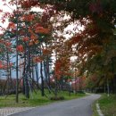 호매실천 이미지