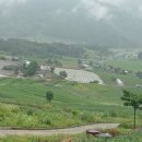 비나리마을 이미지