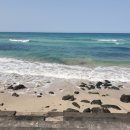 애월한담해안산책로 이미지