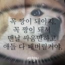 크레이지모토박스