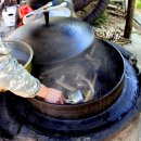 거북이민박 이미지