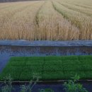 청원영농조합법인 이미지