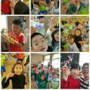 둔포초등학교 이미지