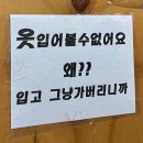 원스피티 | 언정에서 생긴 일