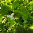 명준농장 이미지