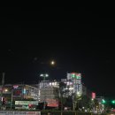 체리빌사우나 이미지