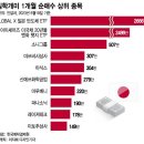 개미상사 이미지