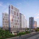 포레스트177