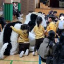 새솔유치원 | 아이들이 무대의 주인공이 되는 시간! – 풍물마당놀이 해피 유치원 공연 후기