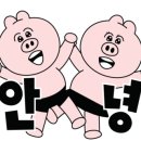 에그셀런트 부천성모병원점 이미지