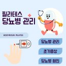 연산한양 | 연산 필라테스 바디로운필라테스 당뇨 초기증상, 당뇨에 좋은 운동