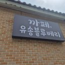 유송블루베리농장 이미지