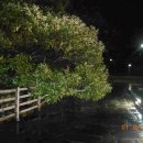 용수보건진료소 이미지