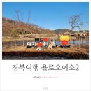 욜로오이소 이미지