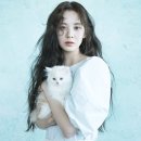 서현 카카오 검색결과