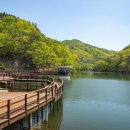 상수도유원지 네이버블로그
