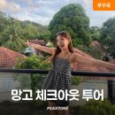 망고투어 - 북구 하서로672번길 18-10 | 망고투어