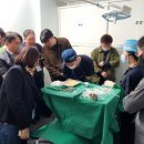 글로벌성형외과의원 이미지