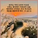 고난의 길을 걷는 자여 이미지