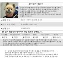 나도 강아지 고양이 너무너무 키우고 싶은데 사정상 키울수가 없어 ㅠㅠ 이미지