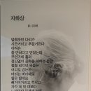 부선 이미지